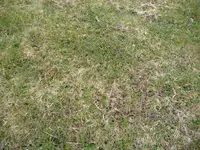 P1030321.webp
