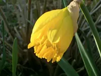 CIMG2848.webp