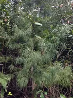 IMG_1738-klein.webp