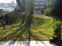 image.webp