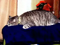 _DSCF0628.webp