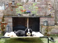 Frühling6.webp