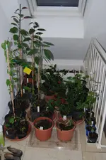 DSC_0264.webp