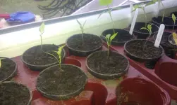 IMAG0508.webp