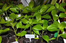 DSC_3884_gesund_und_munter.webp