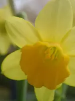 P4090386.webp