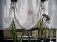 Fenster2.webp