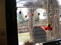 Fenster3.webp