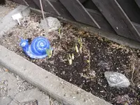 Mit Schnecke 9.4.2013.webp