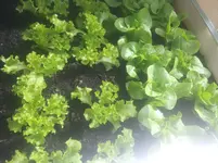20130409_133832.webp