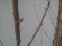 20130409_133754.webp