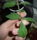 DSCF3456.webp