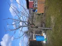 DSC00381.webp