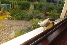 2012_0624Sommer0077.webp