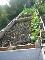 Hochbeet.webp