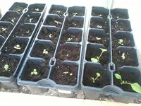 GWH9April7.webp