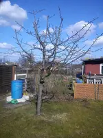 DSC00381.webp