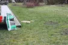 Garten 10.04.2013 1.webp