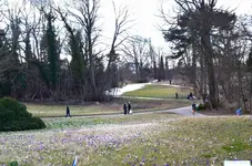 DSC_3850_Botanischer_Garten_Berlin.webp