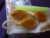 DSCF7276.webp