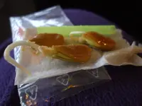 DSCF7278.webp