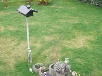 P4110028.webp