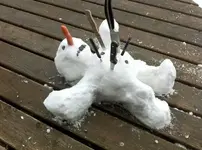 Winter.webp