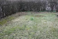 Hecke 2 11.04.2013.webp