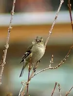 comp_DSC02535.webp