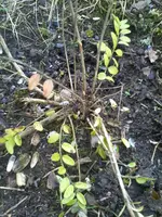 Foto0481.webp