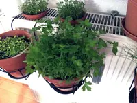 20130410_211554.webp