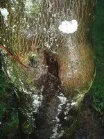 k-P41200552.webp