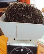 DSC03635 - 2013-04-12 - erste-r Igel-in.webp