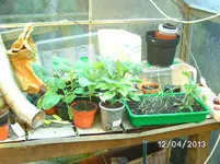 GWH Tisch.webp
