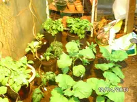 GWH links (2).webp