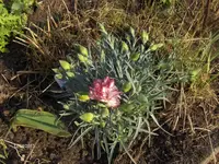 HPIM9324.webp