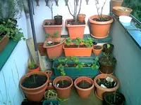 Balkon April rechts.webp
