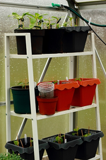 Umzug ins GWH2_500.webp