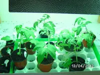 Growbox.webp