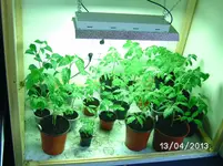 Growschrank.webp