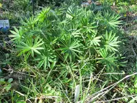 CIMG2874.webp CIMG2874.webp