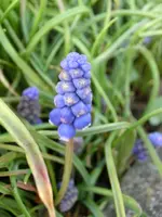 CIMG2879.webp