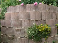 felsenbeet.webp