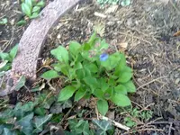 15042000936.webp