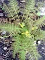 15042000938.webp