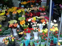 IMG_3932.webp