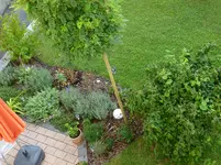 P1020351.webp