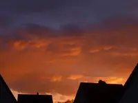 P1050221.webp