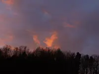 P1050219.webp