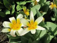 075.webp